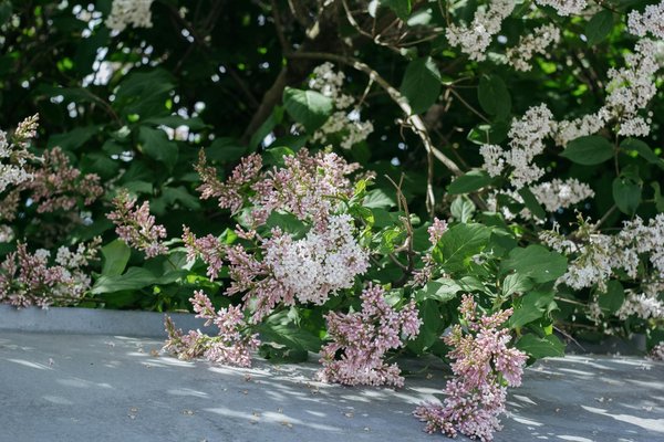 Wat zijn de beste materialen voor een duurzame verbouwing?